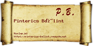 Pinterics Bálint névjegykártya